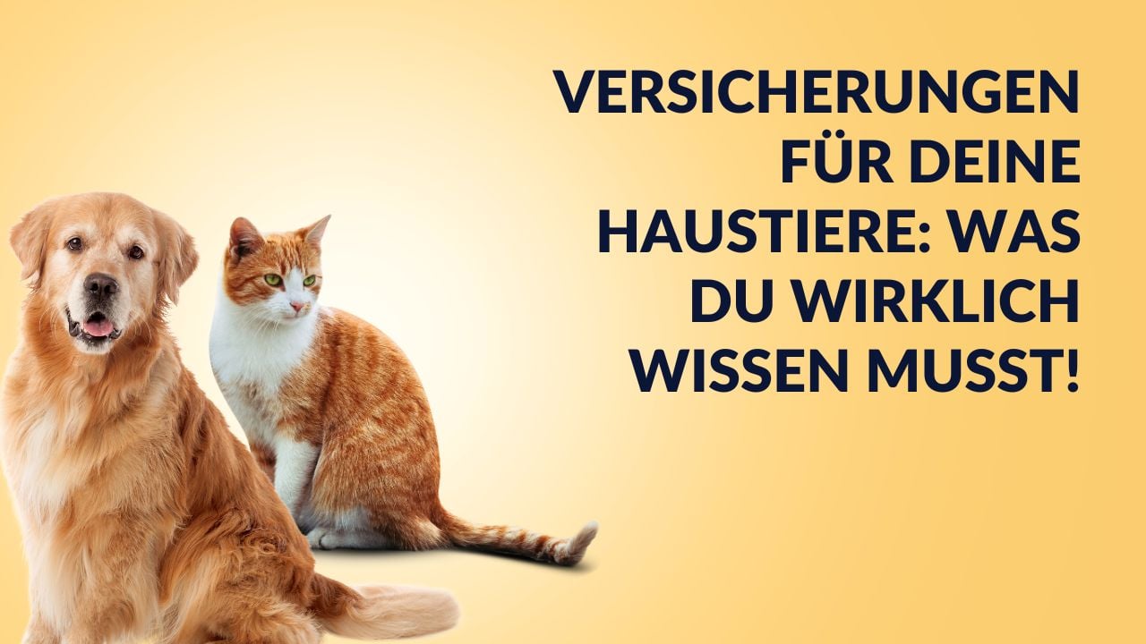 Versicherungen für deine Haustiere: Was du wirklich wissen musst! Cover
